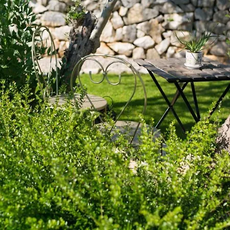 House In The Olive Grove By Guide *