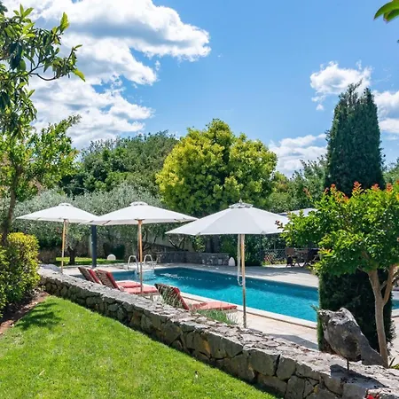 House In The Olive Grove By Guide Willa *