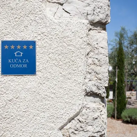 House In The Olive Grove By Guide