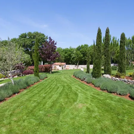 House In The Olive Grove By Guide