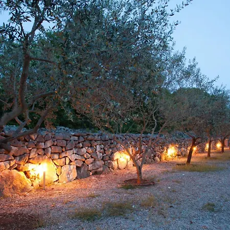 Vila House In The Olive Grove By Guide