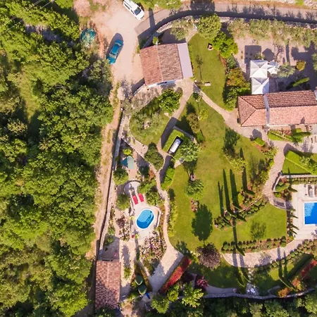 House In The Olive Grove By Guide *