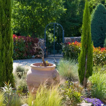House In The Olive Grove By Guide * Sveti Ivan Dobrinjski