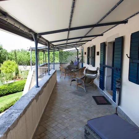 House In The Olive Grove By Guide