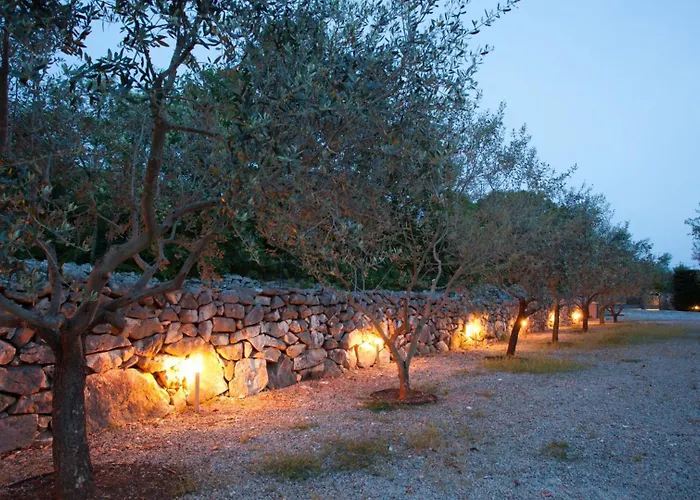 Villa House In The Olive Grove By Guide